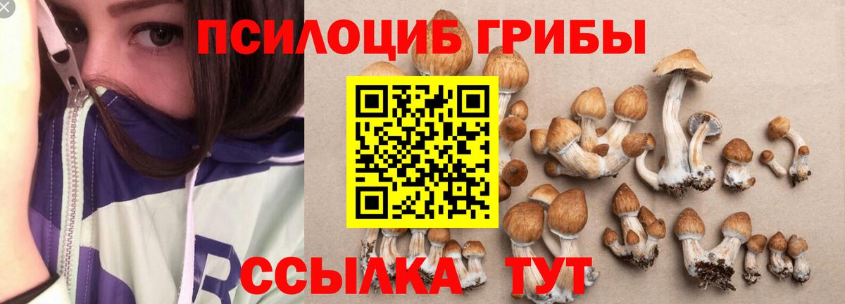 Псилоцибиновые грибы MAGIC MUSHROOMS  Псилоцибиновые грибы прущие грибы  Вход с VPN  Учалы 